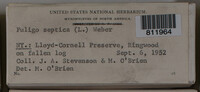 Image Associated With the Occurence